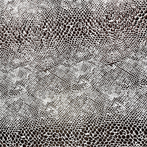 Fdy Spandex With Snakeskin Foil
